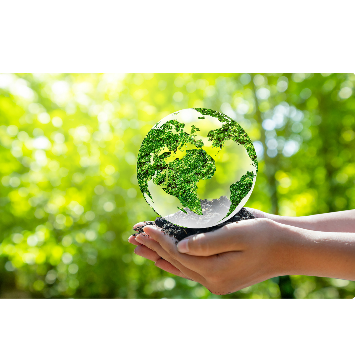 Portada Go Eco