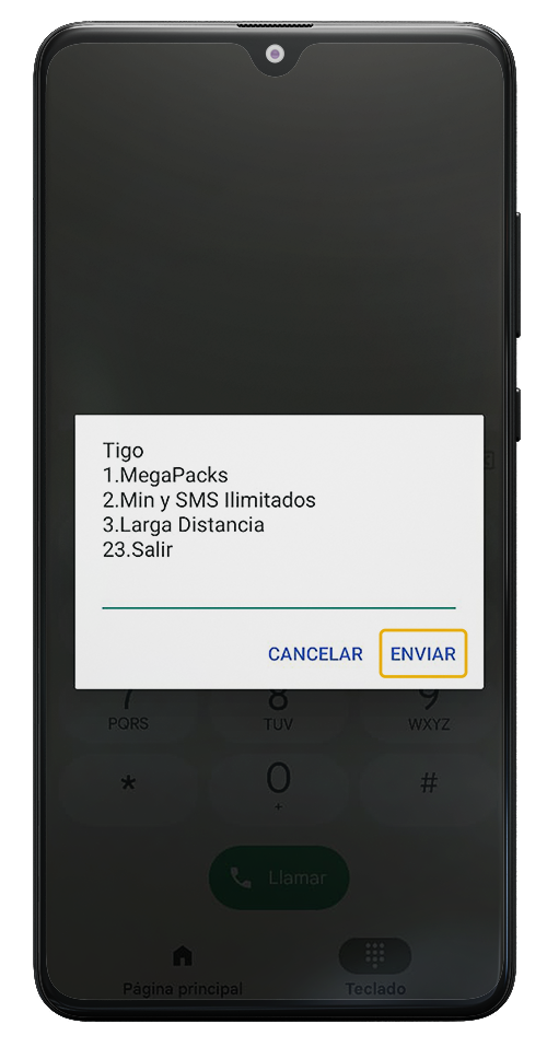 USSD 2