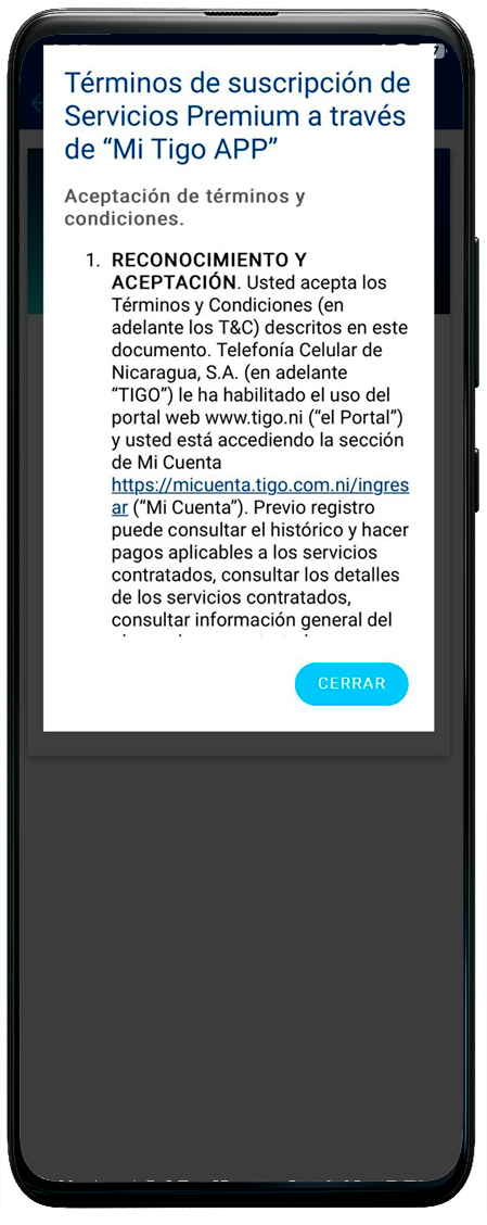 ima5-Disney-terminos-y-condiciones-estandar-phone-app-mitigo-nicaragua.png