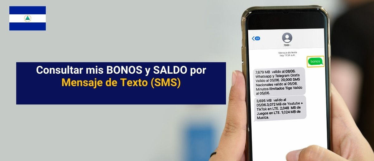IMG - consultar-bonos-por-sms-de-texto.jpg
