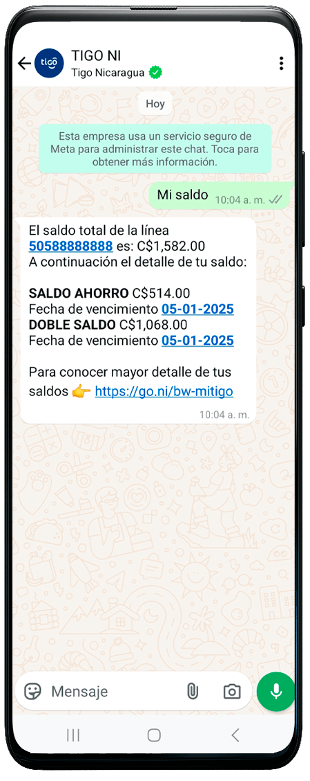 Consulta Saldo