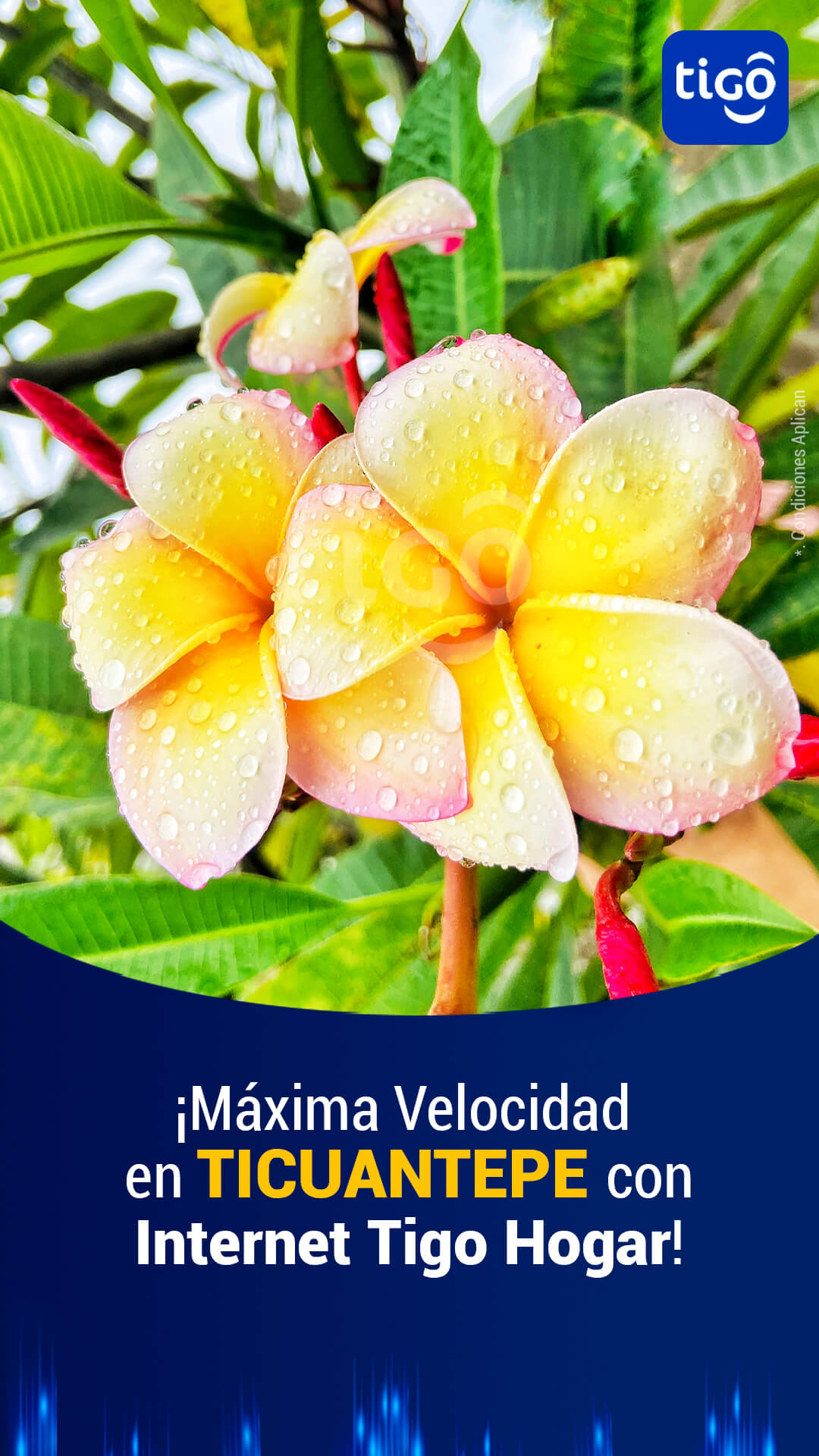ticuantepe-managua-internet-tigo-hogar-nicaragua-contratar-precio.jpg