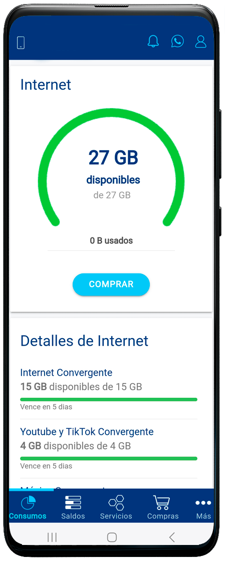 consumos