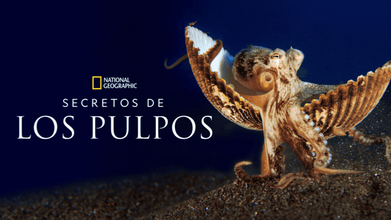 gif-pantallas-multiples-disney-premium-tigo-nicaragua.gif